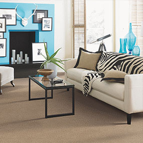 Carpet Manufactures - Farsh Carpets & Rugs